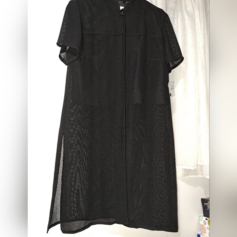 Elegant Black Sheer Dress